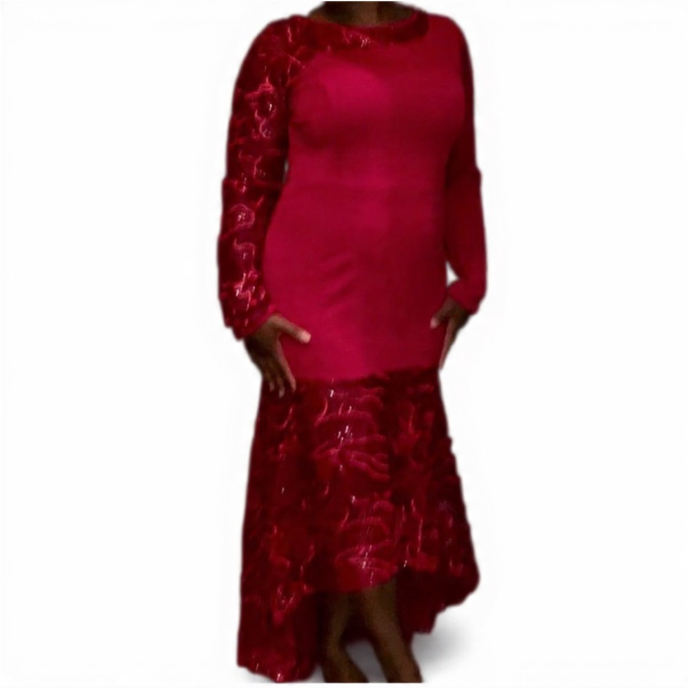 Faithful Ministries, Co. & Works NWT Unique red gown, sheer sleeve & bottom